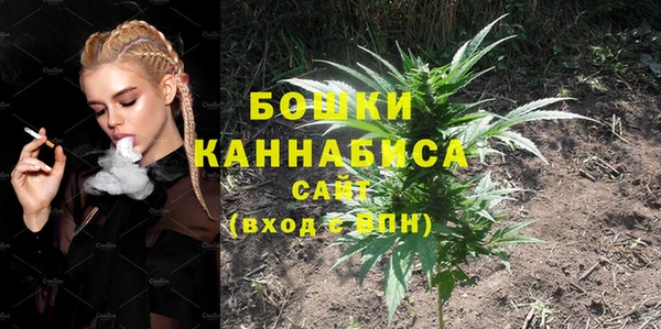 молекула духа Аркадак