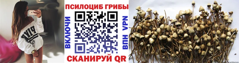 Псилоцибиновые грибы MAGIC MUSHROOMS  Радужный 